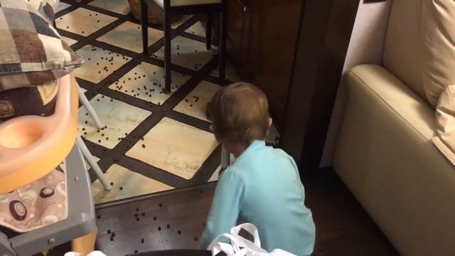 Весело живем:))) смотреть онлайн