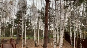 Беседка размером 4,5*3 м. с крышей из прозрачного поликарбоната