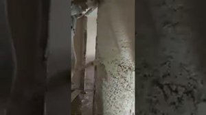 Штукатурка стен станцией  с пневмотранспортной системой.