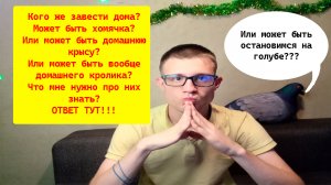 Что нужно знать перед тем, как завести в доме грызуна? Коротко про хомяков, кроликов и домашних крыс