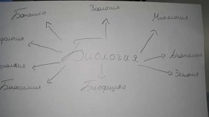 Биология|Отрасли науки,изучающие живые организмы