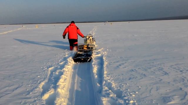 Мухтар 7 и наслуд смотреть онлайн