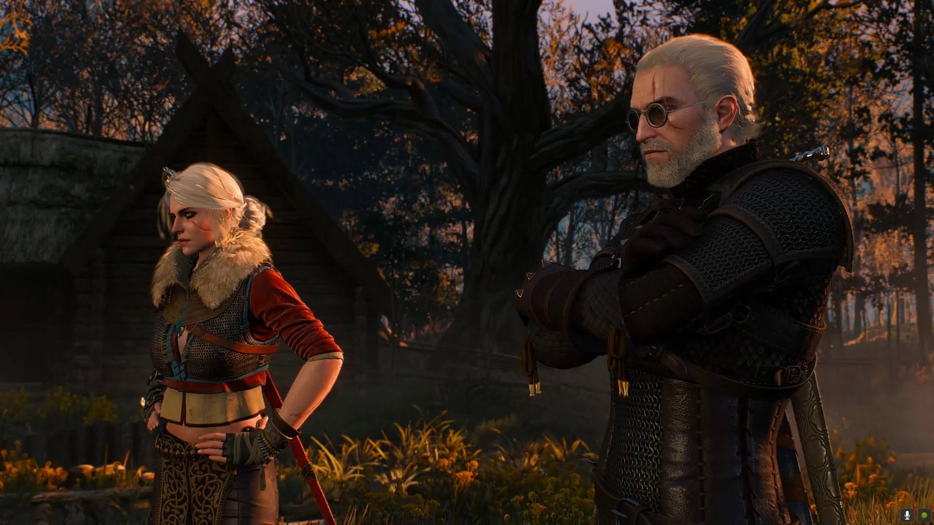 Дикая Охота . Правда Эредина или преступления Цири