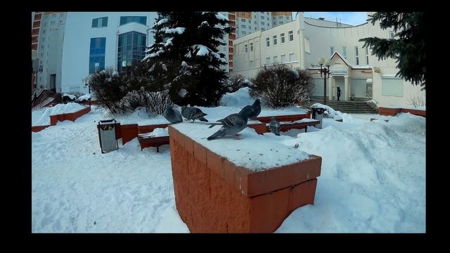 CPL фильтр на экшн-камеру. Поляризационный фильтр cpl 40,5 мм. Тест на SJCam sj6 legend.