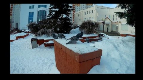 CPL фильтр на экшн-камеру. Поляризационный фильтр cpl 40,5 мм. Тест на SJCam sj6 legend.