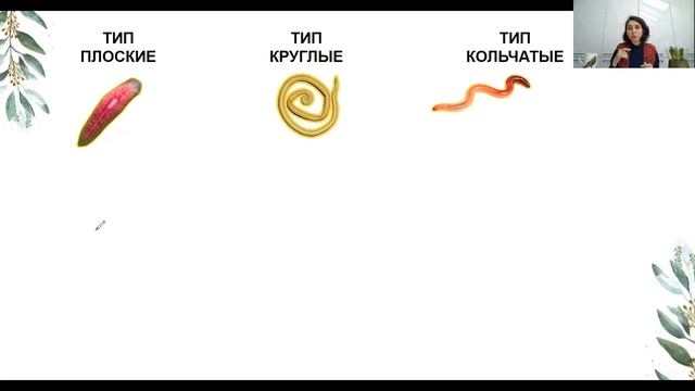 Урок "Сравнение червей" - ЦТ, ЕГЭ, ЗНО. смотреть онлайн
