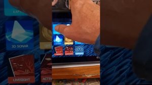 "Остановившийся".Остановилась эхограма в SideScan, DownScan и Sonar в эхолоте Lowrance!‼️Что делать