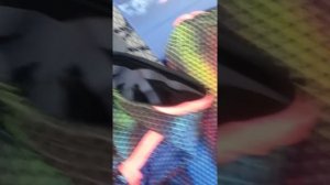 Самый честный обзор гидрошорт для плавания Adidas Adizero XVI review для SWIMDREAM.ORG