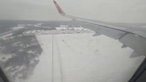 Посадка самолета в Москве Домодедово авиакомпания Air Arabia