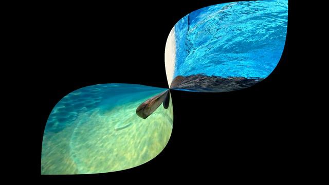 Красивые дельфины под красивую музыку смотреть онлайн