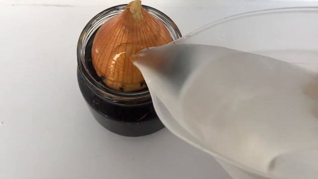 Как посадить лук в домашних условиях на подоконнике. Как своими руками посадить лук на перо. смотреть онлайн