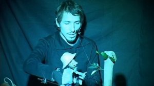 Щедрое дерево (автор сценария, актёр и режиссёр Иван Затока)