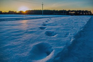 Без названия