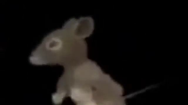 Undertale wattpad смотреть онлайн