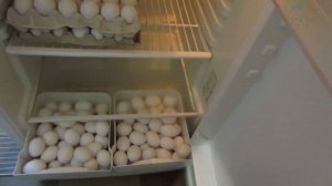 Хранение яиц длительное время. Холодильник для яиц.