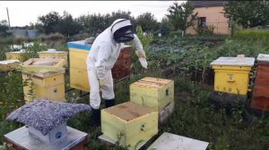 Результат работы щавелевой кислоты.