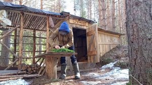 Жизнь в ЛЕСУ! Завтрак туриста на костре. Начинается потоп.