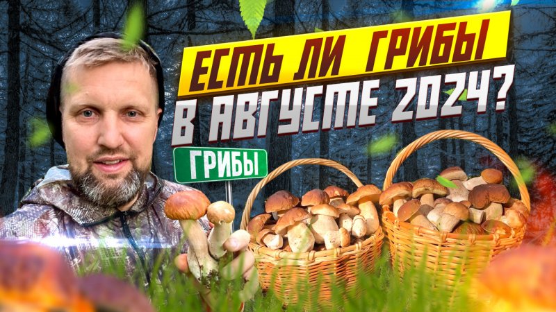 Есть ли грибы в августе?