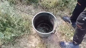 °Рецепт Отвара из полыни для всех болезней° ×От ValsTYC и Dromota Bomata×