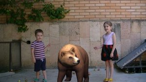 домашнее животное - МЕДВЕДЬ | бурый медведь