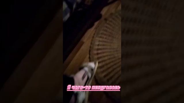 что я делаю вечером на даче/Lps Eva Light