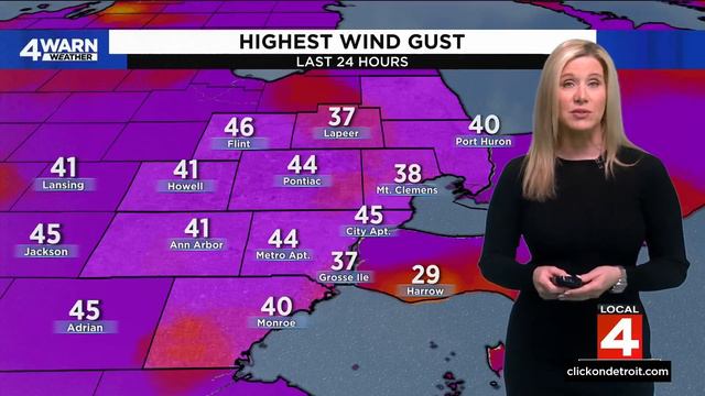 Metro Detroit weather forecast Feb. 28, 2024 -- 4 p.m. Update смотреть онлайн