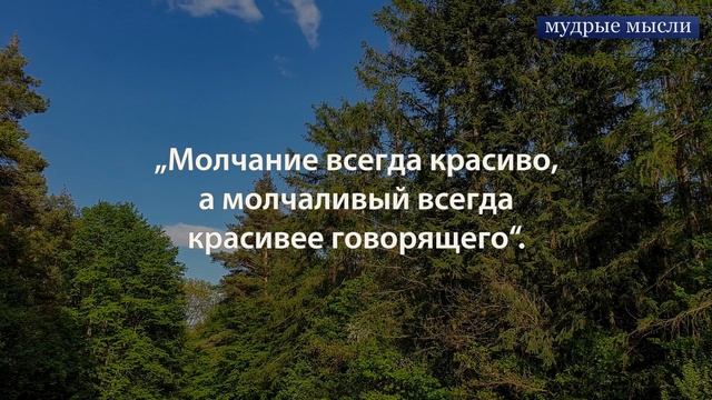 Достоевский. Цитаты Великих Людей. Золотые Слова смотреть онлайн