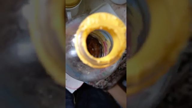 Что нельзя оставлять на даче зимой? смотреть онлайн