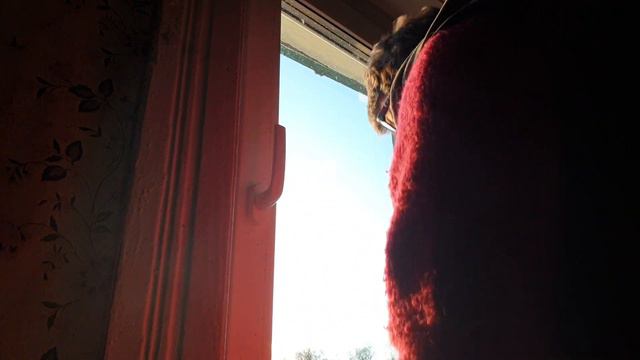 КУПИЛА ДОМ В ДЕРЕВНЕ / Поездка на выходные. День второй. Повесила рольштору в кухне