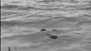2.Мы из Кронштадта. Моряки Революции