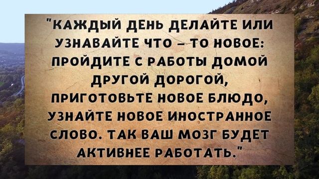 Мудрые советы для жизни: 14 главных принципов