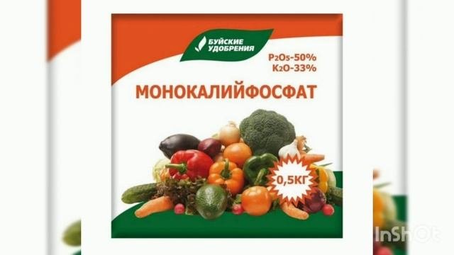 КАК ПОСЕЯТЬ И ВЫРАСТИТЬ ГАЦАНИЮ ? ПОДРОБНО.ДЛЯ НОВИЧКОВ