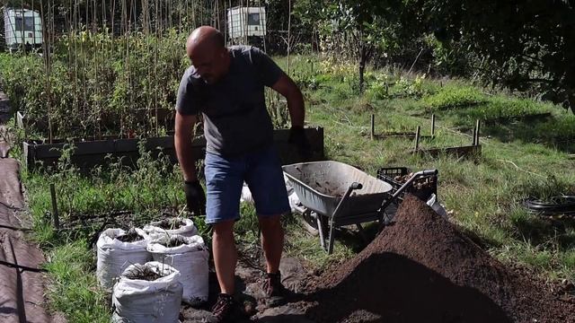 Картофи, засадени в чували! Колко картофа събрахме от 3 квадратни метра леха с 20 чувала. смотреть онлайн