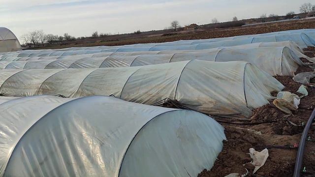 Какая Обстановка На Огороде Херсонская Область Левый Берег Херсонщины