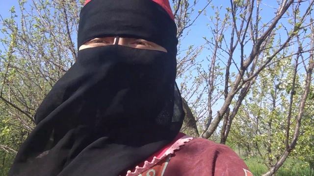 Правда о работе аниматором в Египте: 5 - это жестокость. смотреть онлайн