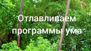 Техника перепрошивки программ ума. Выход из Матрицы