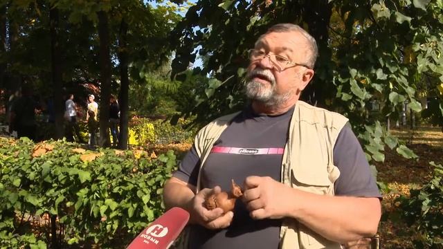 Фестиваль Мичуринского яблока прошел в новом формате