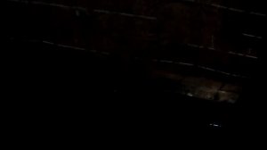 Утки башкирские. Содержание зимой. башкирки в загоне