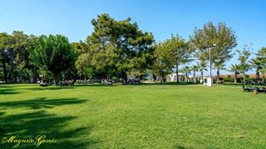 Отели Турции:     Paloma Foresta Resort&Spa 5*     ( Кемер )