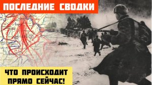 УТРЕННЯЯ ВОЕННАЯ СВОДКА (Обзор на 12 февраля). Что происходит сейчас на фронте...