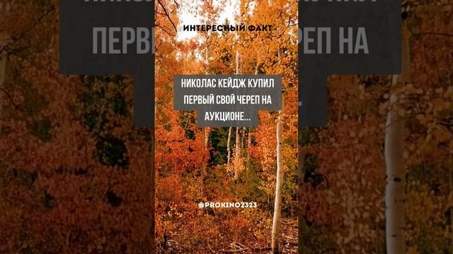 Интересный факт про Николас Кейдж #Shorts