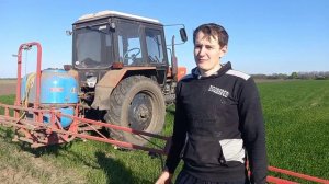 Брызгаем по пшенице. Чем убрать падолицу гранстар-подсолнуха по пшенице. Когда лучше брызгать пшени