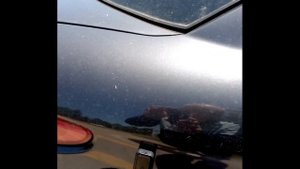 GF-22 Magnetic GPS Tracker Real Antenna