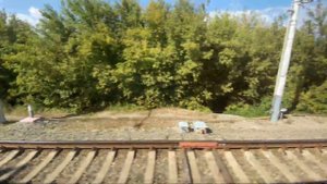 Поездка на электропоезде ЭР2К-1149 «Грушинский Экспресс». Часть 2. ст. Средневолжская - о.п. Ягодна