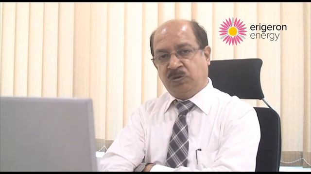 Erigeron Profile Video смотреть онлайн