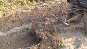 КОПКА КАРТОФЕЛЯ  МОТОБЛОКОМ С ВЕЕРНОЙ КОПАЛКОЙ