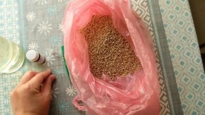 ЧЕМ ПОИТЬ И КОРМИТЬ ЦЫПЛЯТ В ПЕРВЫЕ ДНИ ЖИЗНИ