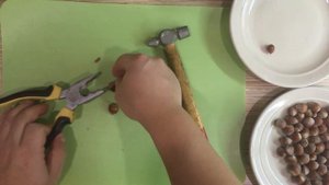 Как расколоть фундук. Самый эффективный способ колоть орехи.