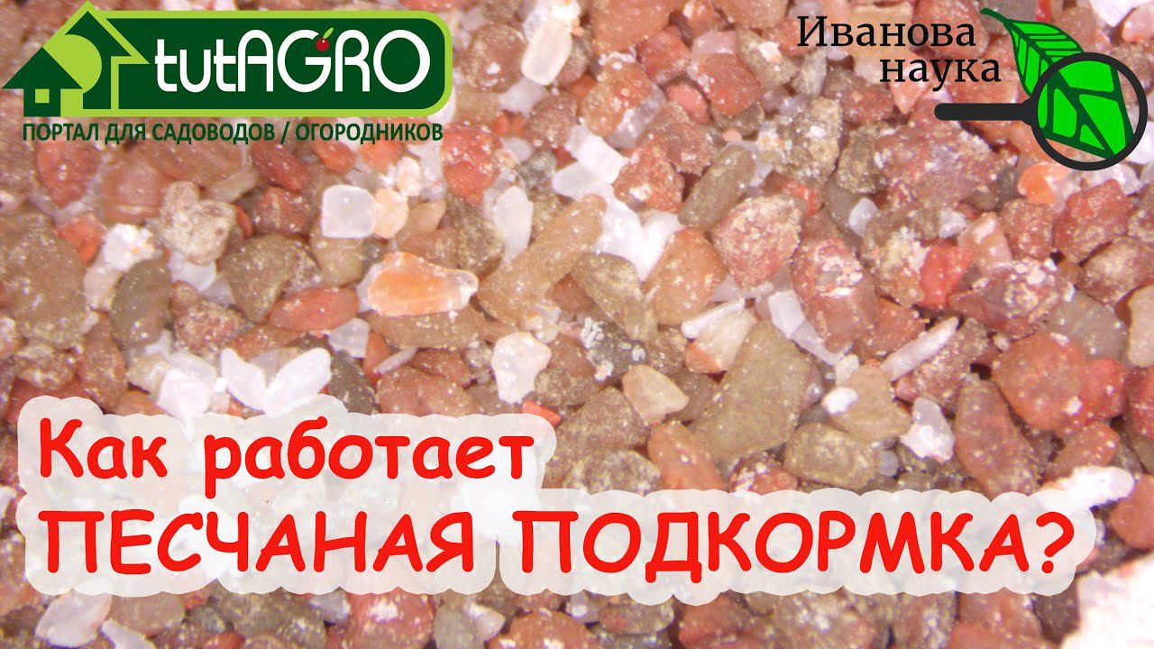 ОСОБАЯ ПЕСЧАНАЯ ПОДКОРМКА РАСТЕНИЙ: КАК ЭТО РАБОТАЕТ. Вся ценность природных минералов - для УРОЖАЯ!