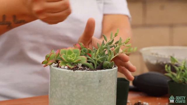 Step by Step Succulent Arrangements: Green Marble Planter смотреть онлайн